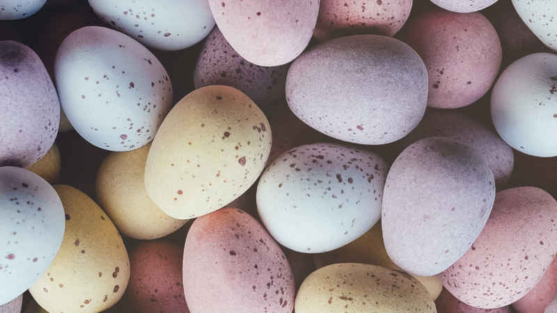 Nicht alle Eier in einen Korb legen – warum diese Regel nicht nur zu Ostern gilt