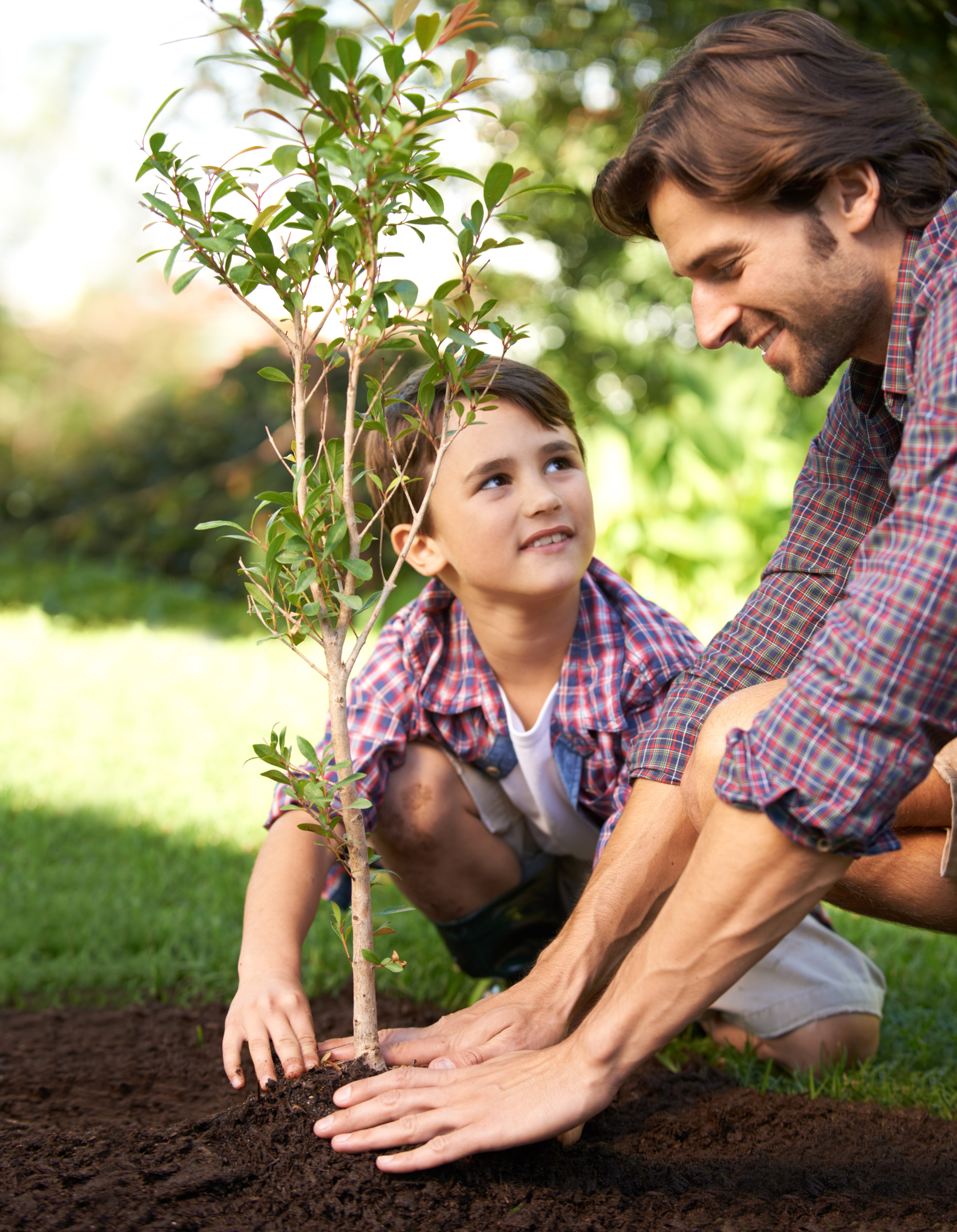 Vater und Sohn pflanzen gemeinsam einen jungen Baum im Garten bei sonnigem Wetter.
