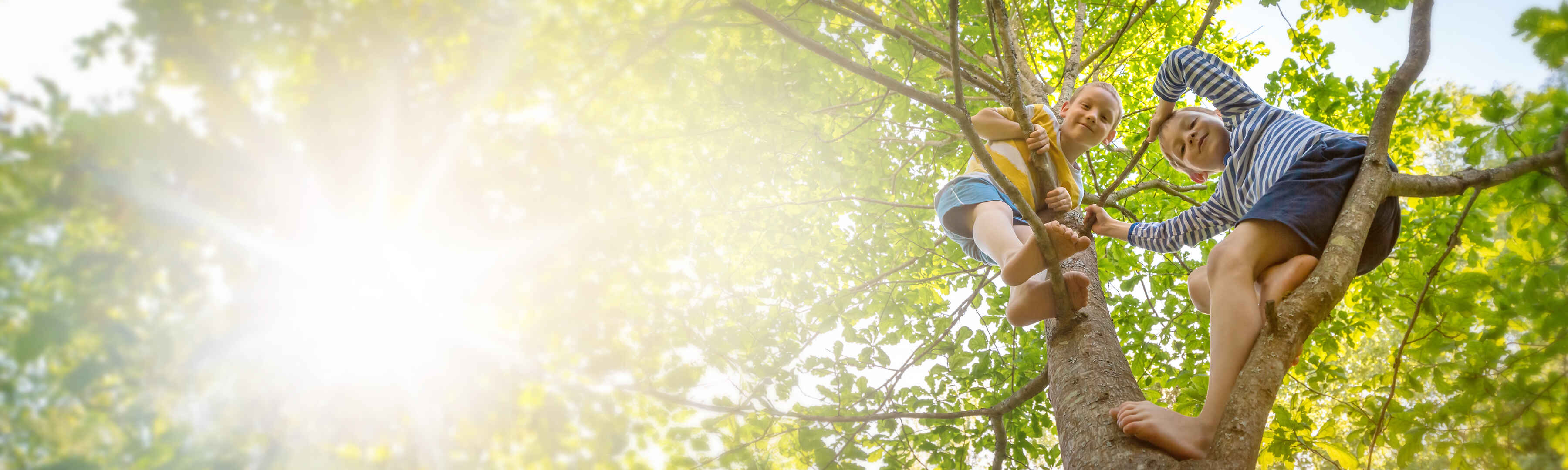 Zwei Kinder klettern im Sommer auf einen Baum, umgeben von grünen Blättern und hellem Sonnenlicht.