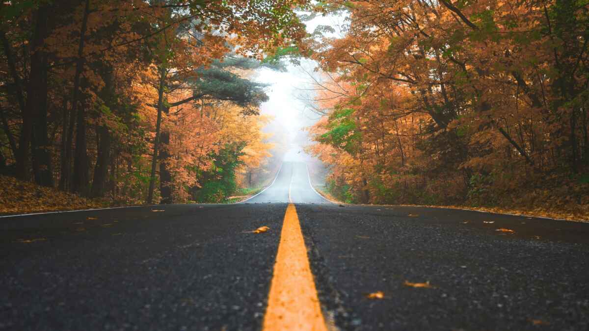 Herbststraße, gesäumt von bunten Bäumen, erstreckt sich geradeaus in einen nebligen Horizont.